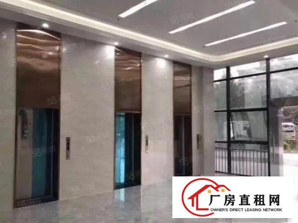  坪山形象超靓新出300，500，600，850精装修出租