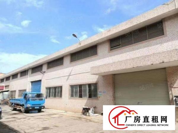  300平起分坪山龙田凡人工业区新出独栋钢构1400平滴水8米