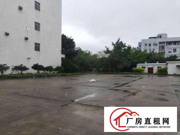  坪山一楼1000平厂房出租空地大合同长可装峰谷平大小分租