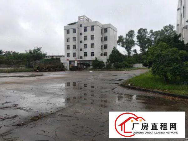  坪山一楼1000平厂房出租空地大合同长可装峰谷平大小分租