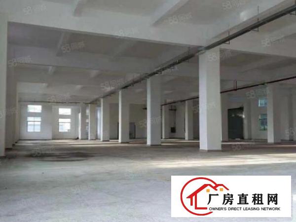  坪山龙田大工业区翠景路高速出口原房东，花园式独院1260平