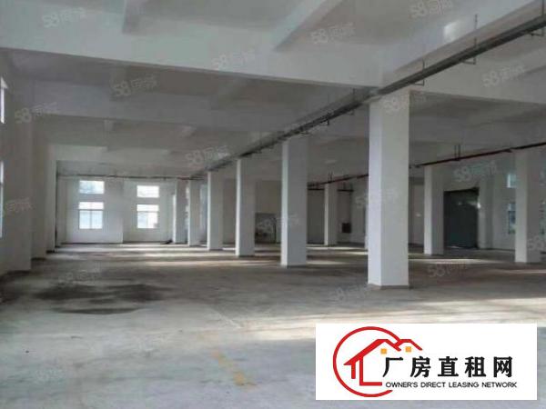  坪山龙田大工业区翠景路高速出口原房东，花园式独院1260平