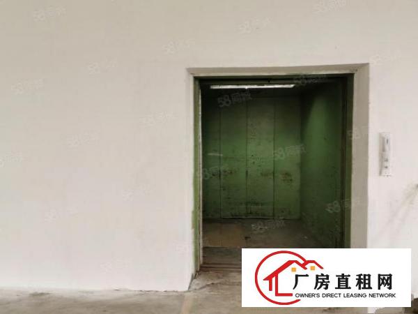  坪山石井新出1100平厂房，大小分组，交通便利，带红本