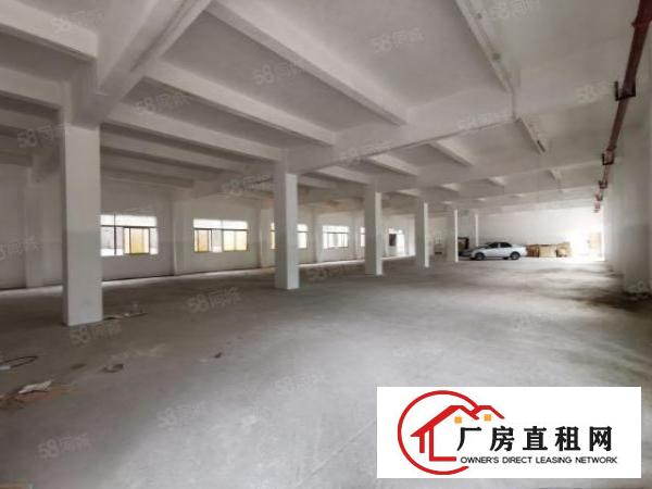  坪山石井新出1100平厂房，大小分组，交通便利，带红本