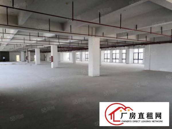  深圳坪山2000平高薪医疗厂房仓库出租可分租一手房东无公摊