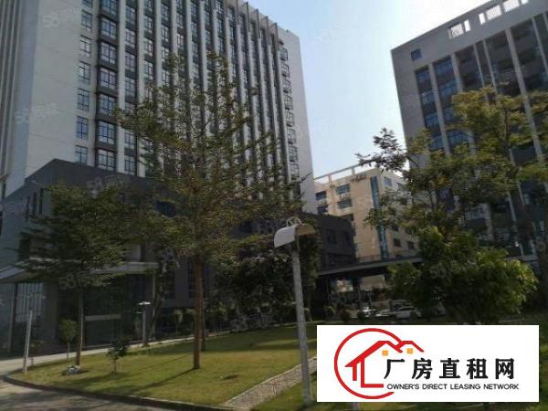  深圳坪山2000平高薪医疗厂房仓库出租可分租一手房东无公摊