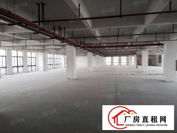  深圳坪山2000平高薪医疗厂房仓库出租可分租一手房东无公摊