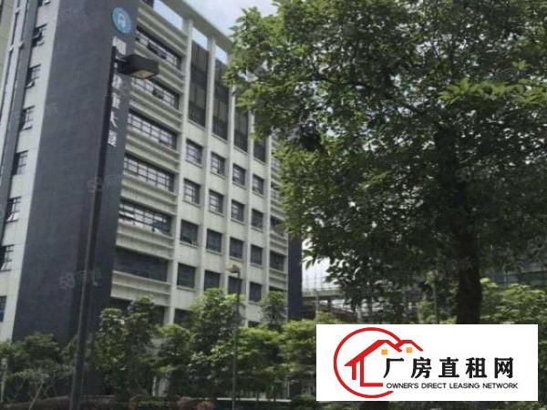  红本产业园业主直租1500平可分租300起租可申请