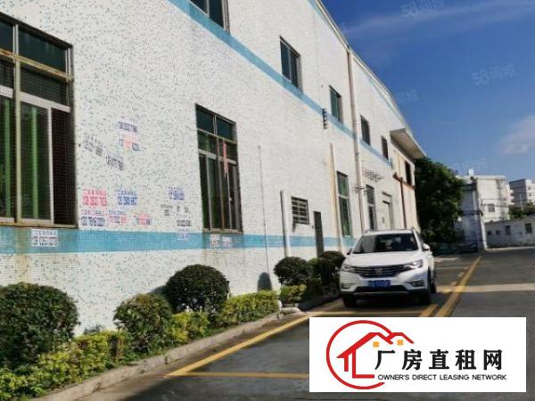  坪山原房东红本厂房出租，面积实量，单一层9.5米高钢构