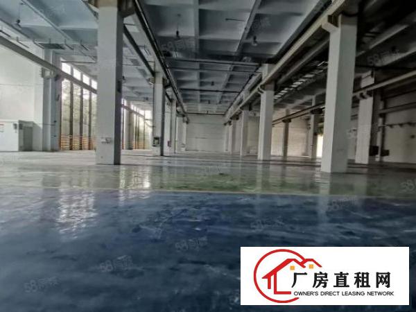  一手房东红本厂房一楼3200平方出租一楼层高9米可申请补贴