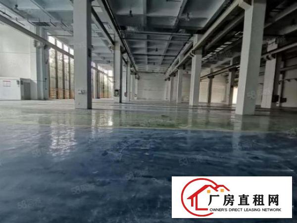  一手房东红本厂房一楼3200平方出租一楼层高9米可申请补贴