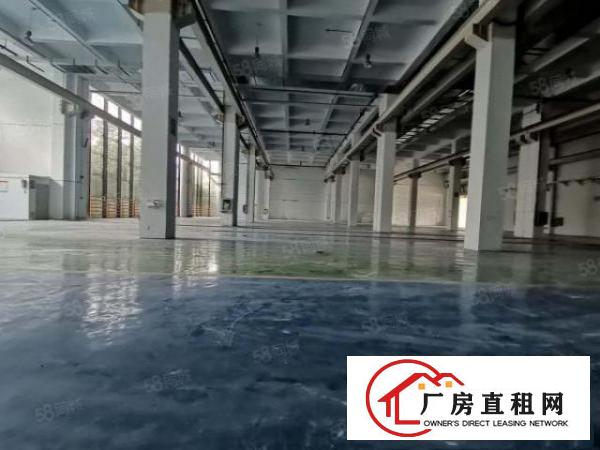  一手房东红本厂房一楼3200平方出租一楼层高9米可申请补贴