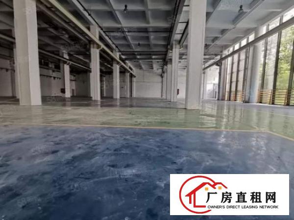  一手房东红本厂房一楼3200平方出租一楼层高9米可申请补贴