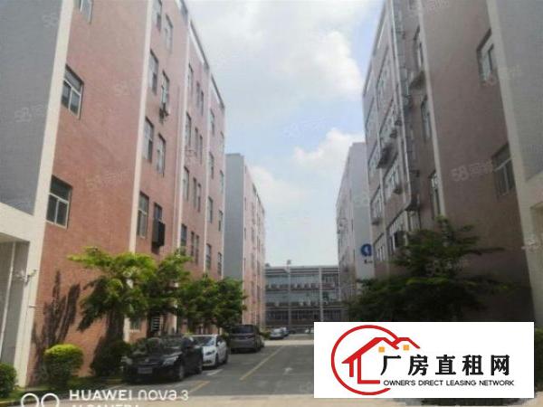  坪山比亚迪路边上新出全新厂房红本面积出租现成装修带消防喷淋