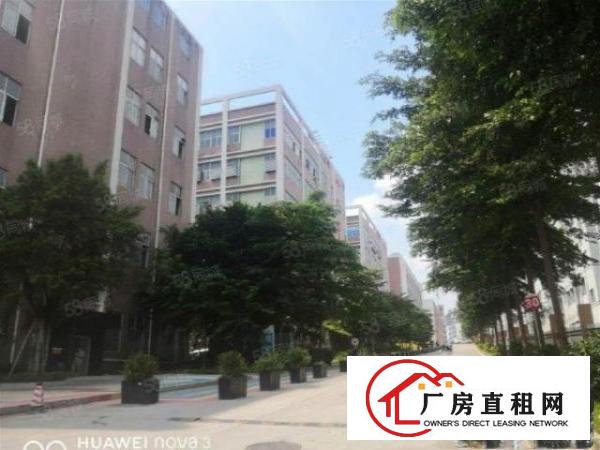  坪山比亚迪路边上新出全新厂房红本面积出租现成装修带消防喷淋