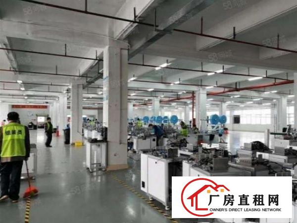  坪山比亚迪路边上新出全新厂房红本面积出租现成装修带消防喷淋
