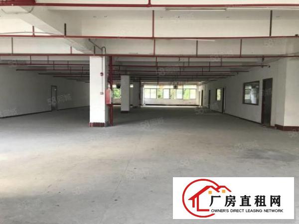  龙岗同乐高新产业园红本厂房招租2700平出租，可分租