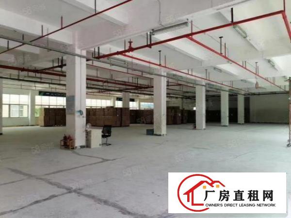  龙岗同乐高新产业园红本厂房招租2700平出租，可分租