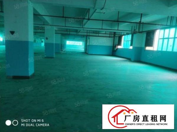  龙岗同乐高新产业园红本厂房招租2700平出租，可分租