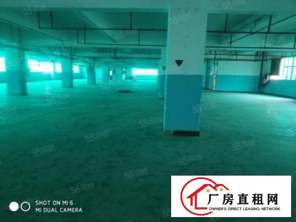  龙岗同乐高新产业园红本厂房招租2700平出租，可分租