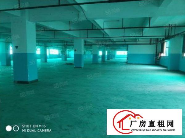  龙岗同乐高新产业园红本厂房招租2700平出租，可分租