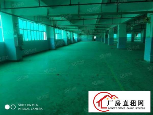  龙岗同乐高新产业园红本厂房招租2700平出租，可分租