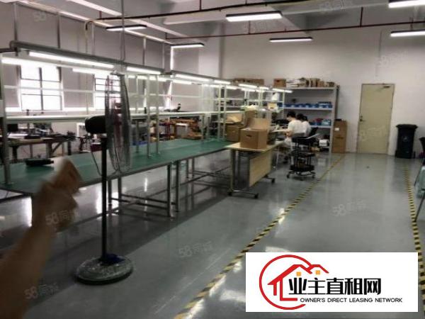  坪山大工业原房东大型工业园新空出楼上600平方精装修厂房出租