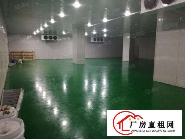  坑梓龙田工业区新出小面积一楼厂房200平方出租
