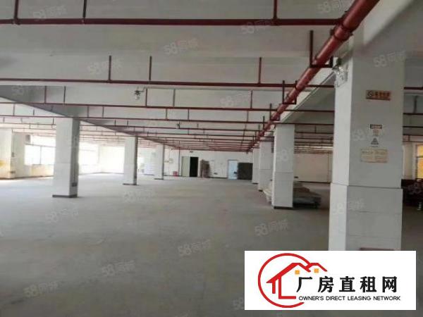  坪山坑梓金沙金康路附近一楼2500平零下18度带卸货平台