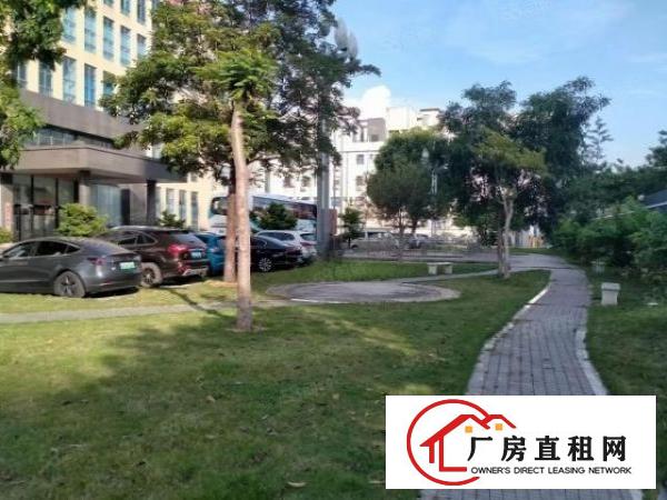  坪山坑梓金沙金康路附近一楼2500平零下18度带卸货平台
