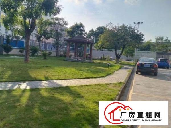  坪山坑梓金沙金康路附近一楼2500平零下18度带卸货平台