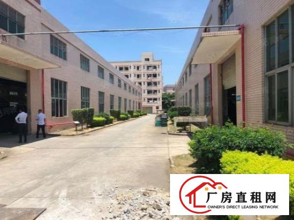  坪山比亚迪对面香江工业园新出单一层钢构厂房1500平方出租