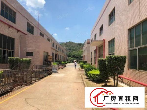  坪山比亚迪对面香江工业园新出单一层钢构厂房1500平方出租