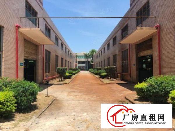  坪山比亚迪对面香江工业园新出单一层钢构厂房1500平方出租