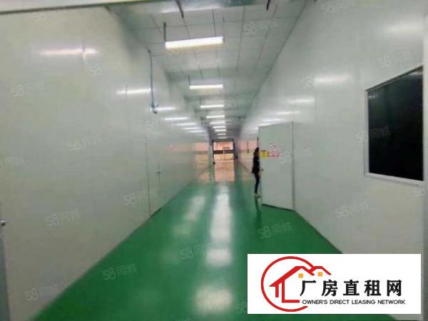  坪山新出800平无尘车间大小可分租