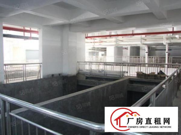  金属表面处理工业园5000方可分租不限行业价格美丽