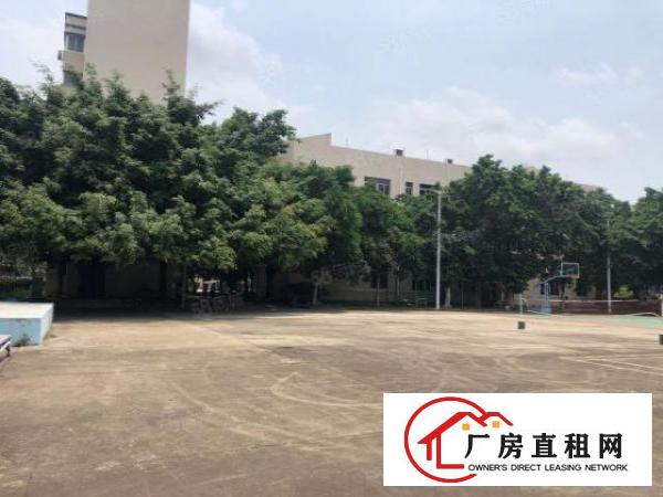  坪山大工业区原房东工业园新空出5万平方红本厂房招租，价格含税