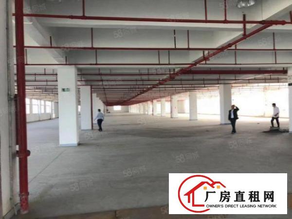  坪山大工业区原房东工业园新空出5万平方红本厂房招租，价格含税