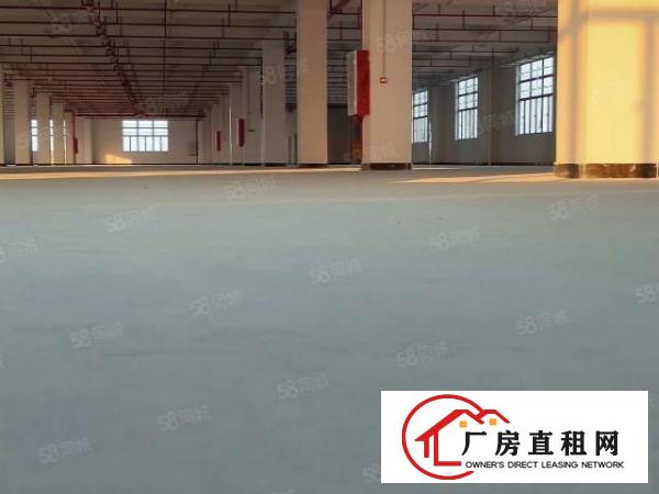  坪山大工业区红本厂房花园式工业区带精装修办公室车间
