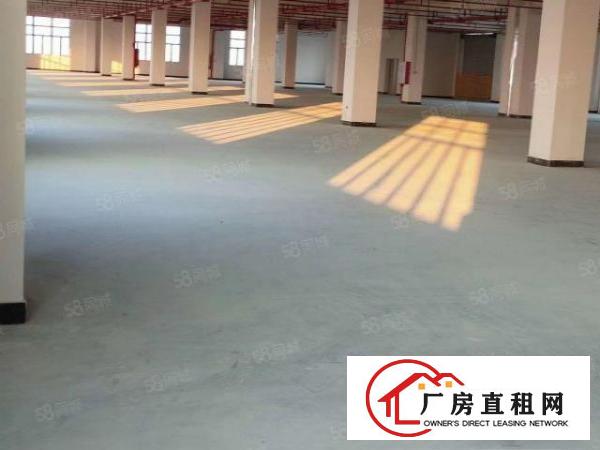  坪山大工业区红本厂房花园式工业区带精装修办公室车间