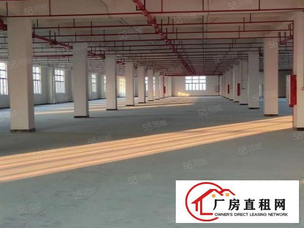  坪山大工业区红本厂房花园式工业区带精装修办公室车间