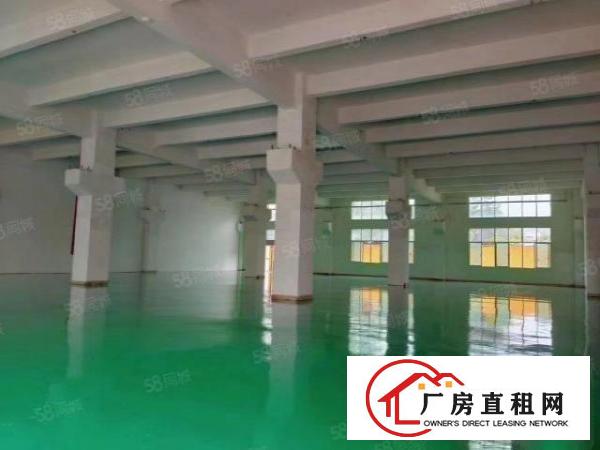 模具注塑客户看过来！200平起分租坪山碧岭沙湖带十吨行车