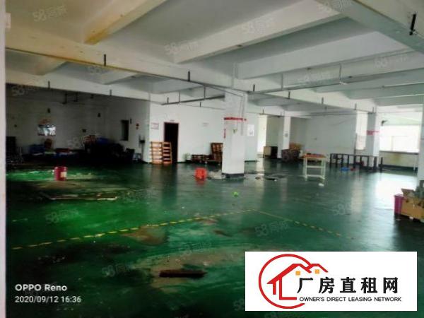  坪山石井坪葵路边大型工业园厂房分租带装修