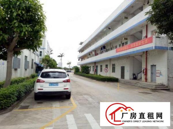  坪山石井坪葵路边大型工业园厂房分租带装修