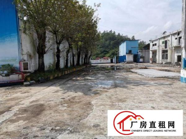  深圳20块1楼厂房！坪山碧岭新空出6米高1楼500平起分租