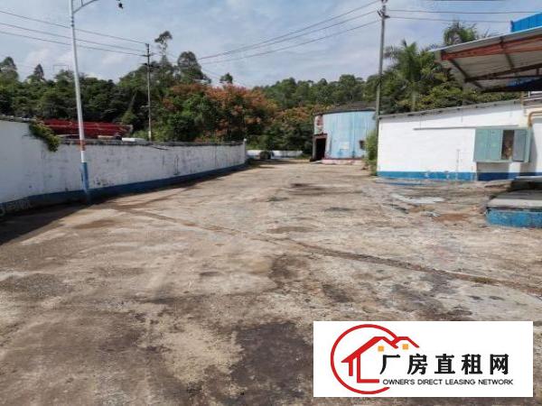 深圳20块1楼厂房！坪山碧岭新空出6米高1楼500平起分租