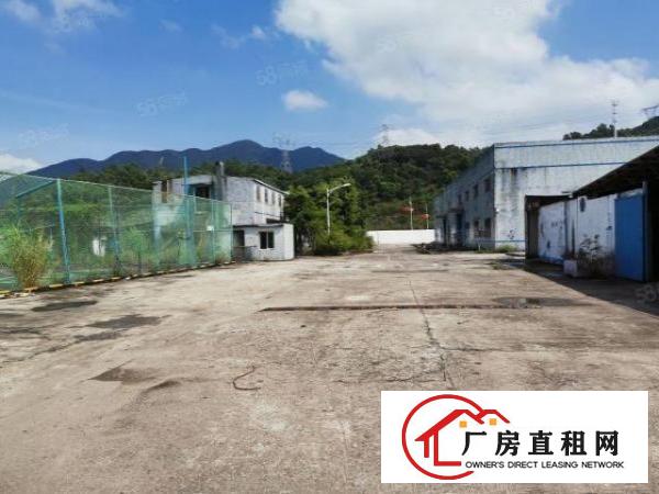  深圳20块1楼厂房！坪山碧岭新空出6米高1楼500平起分租