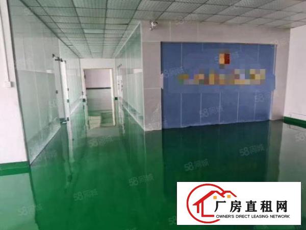  红本精装厂房1100平方原房东直租三楼水电现成已空置可分租