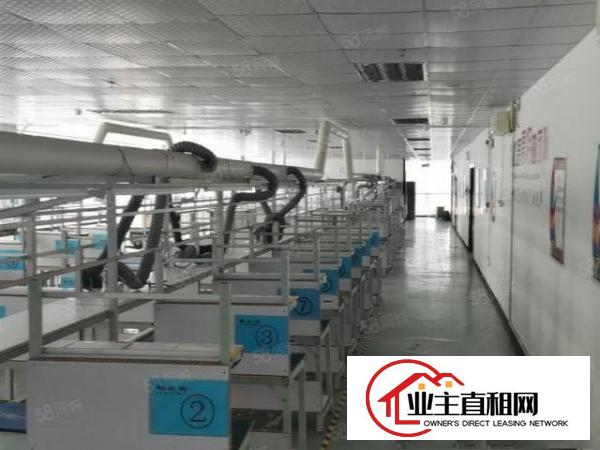  国企产业园项目！坪山生物医疗产业基地2000平精装修厂房出租