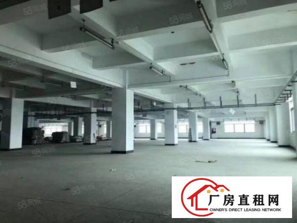  坪山六联五吨货梯重工业厂房仓库3500平方可分租